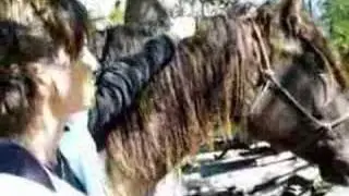 Mane Care for Your Curly Horse
