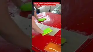 Ferrari 512bb | First Wash in 28 Years! Car Detailing Restoration
