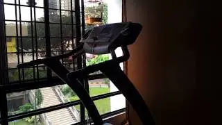 Black throat vs yellow rump finch