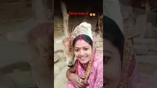 मुझको तो अच्छी लगती है#cute #cow baby #short video