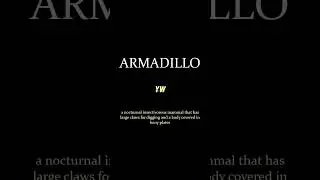 Armadillo #How to pronounce and meaning of the word #learnenglish #vocab #vocabulary #english learn