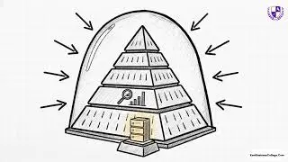 12 l Marketing Strategy and Internal Environment: Understanding Organisation Types