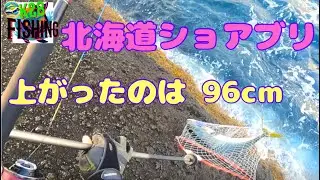 KF11【2024日本海でショアブリ】北海道ショアブリの釣りを、日本海からお届け。2024年もいよいよ北海道青物釣りが開幕、fish釣りHITシーン！注目K28 fishing 釣りチャンネル