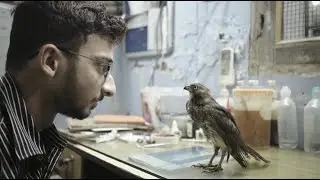 All That Breathes | Clip | NYFF60