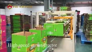 WIN-WIN PACK Automatic Oil Bottle packaging Machine｜Carton Erector｜Case Packer｜Carton Sealer Machine