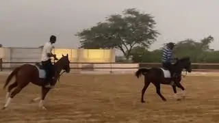 First Canter Experience Horse Riding #horse #equestrian #fyp #usa