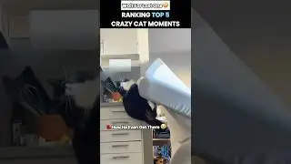 When Is The Next Cat Software Update 😭