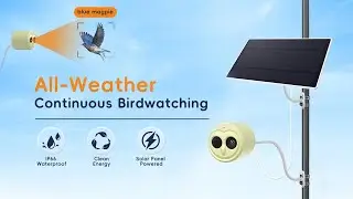 5G Bird Watching Camera, Hibird Smart AI Identify and Auto Capture 10000+ Bird Species Mini Camera