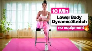 10-Minute Chair Lower Body Dynamic Stretch Routine | Quick Hip & Hamstring Mobility