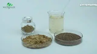 Dodder extract