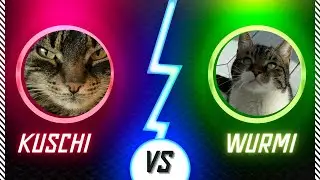 Muhahaha Kuschi an der Front?