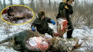 Охотник выслеживал лося в дикой местности в течение 10 дней и преуспел до окончания сезона.