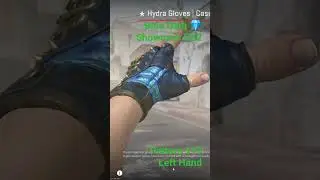 Hydra Gloves | Case Hardened Blue Gem 119 in Counter Strike 2 🔫🔥#cs2 #counterstrike #counterstrike2