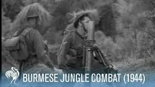 Dramatic War Footage of Sniper in Burmese Jungle (1944) | War Archives
