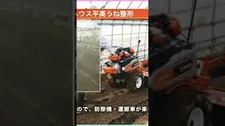 Modern seed production #shorts #viral #satisfying #farming