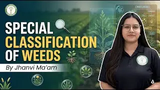 Special Classification of Weeds | Concept to Selection &ndash; Day 8 | (Clear in 15  Min)