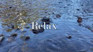 iphone 11 cinematic Video Footage (Shot in Sosnovy Bor)