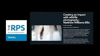 Creating an Impact with Wildlife Photography Matthew Williams Ellis  RPS Travel