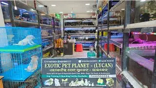 Exotic Pet Planet - Lycan || New Aquarium shop visit #aquariumshopvisit #exoticpetplanet #aquarium
