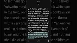 Jan 29th, Day 29 - VIDEO PODCAST - Reading The One Year Bible Together
