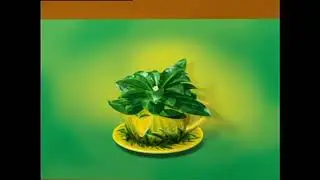 Lipton Yellow Label Tea Commercials 2000s