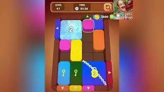 Wood Escape Color Block Level 47