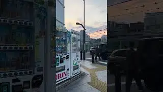 🇯🇵 POV: It's your last day in Japan ☹️ #japan #japantravel #travelaesthetic #relaxing #solotravel
