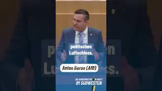 AfD grillt gr&uuml;ne Landesregierung!
