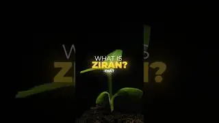 What is Ziran?