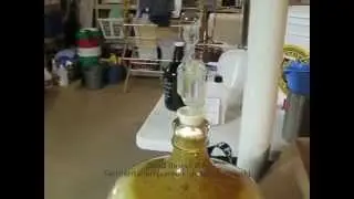 Dead Ringer IPA - Fermentation & Krausen in Airlock
