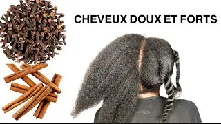 CHEVEUX SECS ET DURS | CANNELLE ET GIROFLE: 2 INGRÉDIENTS ADOUCISSANTS