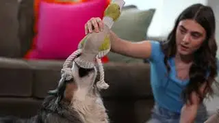 Natural Pet Dog & Cat Toys