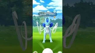 Legendary Shiny✨ Suicune caught in First raid #shiny #raid #legendary #pokemon go #viral #shorts