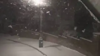 Exeter - making milk deliveries in heavy snow