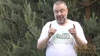 pustelnia   zaproszenie do tworzenia