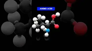 AMINO ACIDS #aminoacid || WHAT IS AMINO ACID #shorts#viral#trending