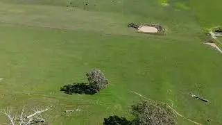farm 2025 08 04