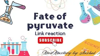 🔥&ldquo;Fate of Pyruvate & Link Reaction 🔥 | Mnemonic for Glycolysis Enzymes | Biochemistry Made Easy&rdquo;🩺