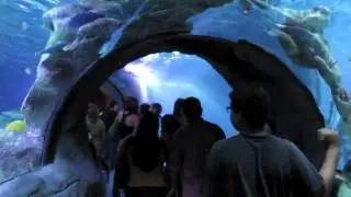Sea Life Arizona Mills Mall Tempe