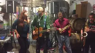 Terry Haman - Live @ Departed Soles Brewery - 10/26/2017