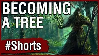 D&D (Short): A Druid That Thinks It's A Tree #Shorts