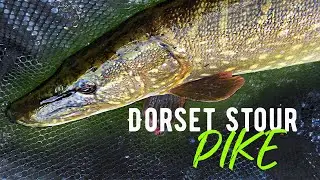 Dorset Stour Pike | River Pike Fishing | Fly Fishing For Pike