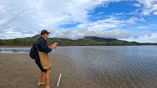 Catch FISH | Catching BAIT | Easy FISHING