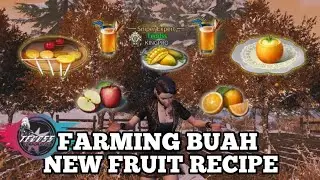 How to Get more Fruit | Farming Buah Tiap hari | LifeAfter New Fruits Recipe