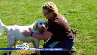 WSBT 22 FACT FINDER: Dog park dangers