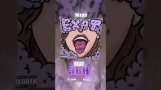 Релиз Exat - 3bh