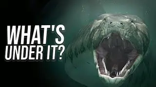Exploring the Mystery of What Lies Beneath the Mighty Amazon River