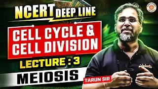 CELL CYCLE & CELL DIVISION CLASS 11 | MEIOSIS NCERT DEEP LINES | NCERT FOR NEET 2025 | BY TARUN SIR