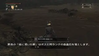 ブラッドボーン　銃にセットする血晶石について (血質&脈動)　 野良血に渇いた獣の有用性