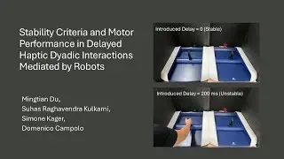 Stability Criteria and Motor Performance in Delayed Haptic Dyadic Interactions Mediated by Robots